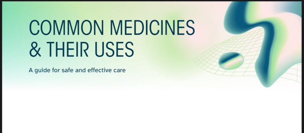 whatsapp image 2025 10 02 at 17.19.29 cbc50f32